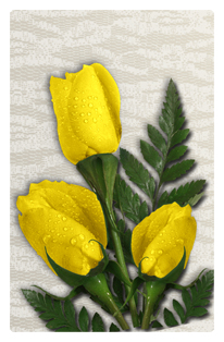 DF35T 059 2 Roses Yellow